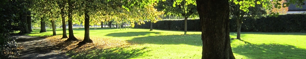Autumn in Bushy Park