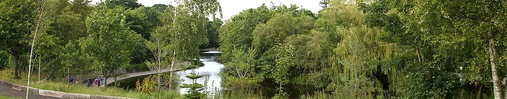 The duckpond in Bushy Park