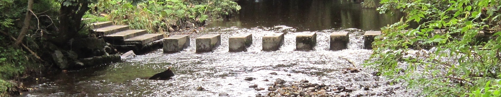 stepping stones on the Dodder